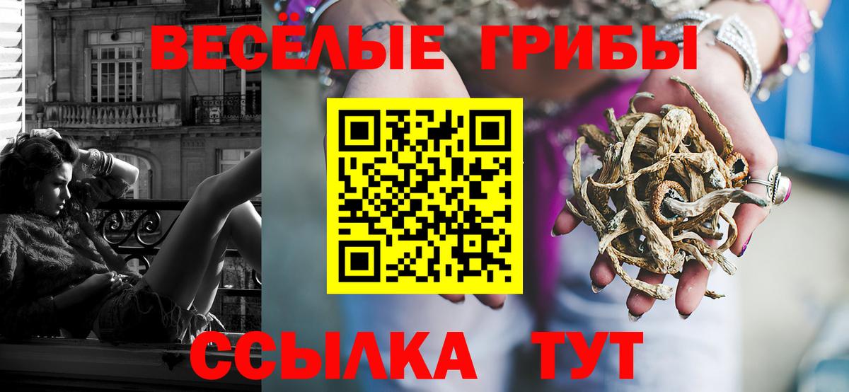 Галлюциногенные грибы прущие грибы Йошкар-Ола